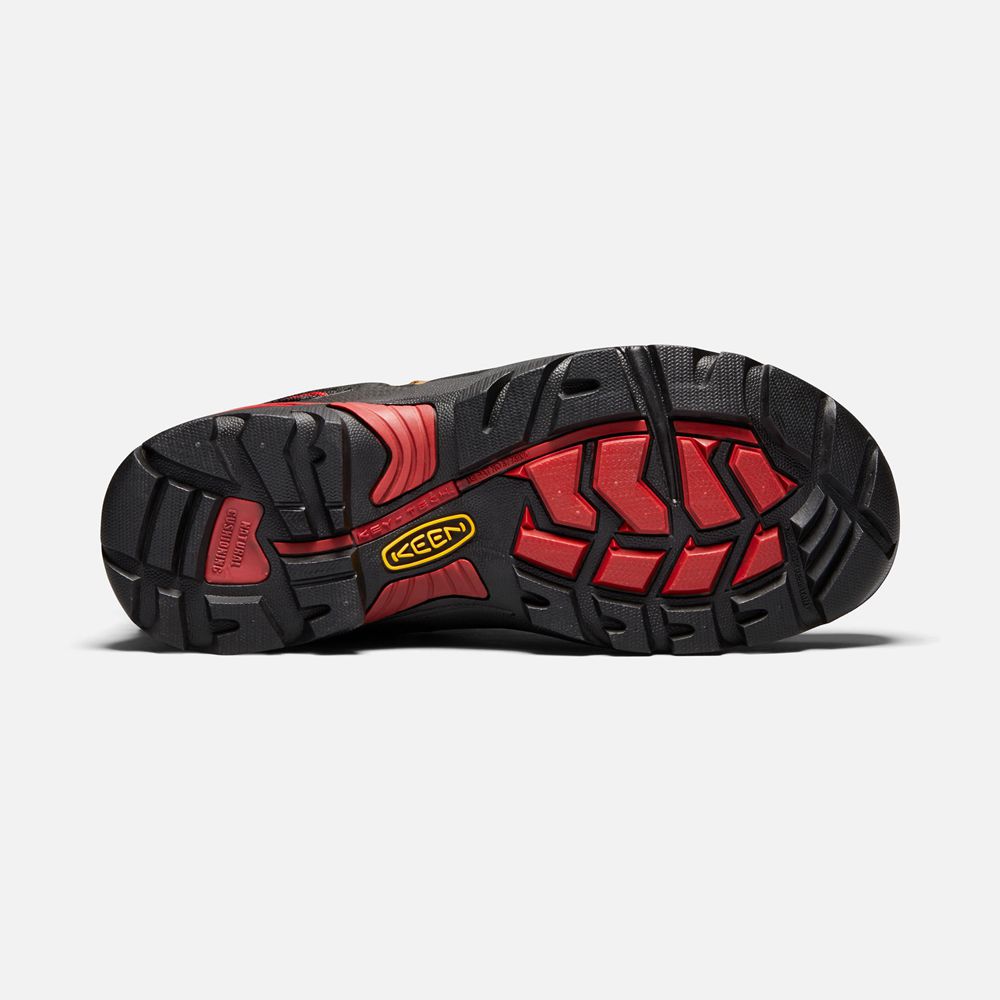 Keen Arbetskängor Herr Bruna/Svarta - Csa Hamilton Waterproof (Carbon-Fiber Toe) - 428910MZH